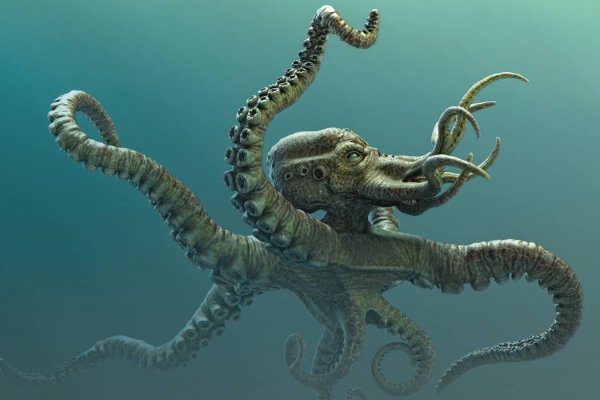 Kraken даркнет маркет