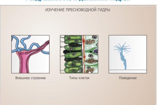 Мега кракен