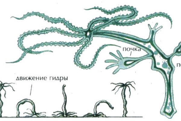 Найти ссылку на кракен